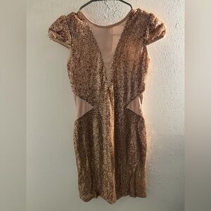 Elegant Sequin Dress